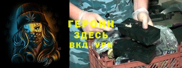 индика Арсеньев