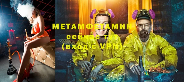 индика Арсеньев