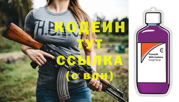 индика Арсеньев